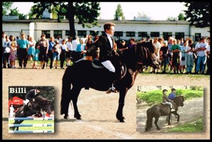 Billi - najlepszy z najlepszych kuc na świecie