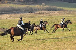 do pogoni dołącza się ekipa Jurka Zupy z Ramsowa!:))) - Hubertus 2011