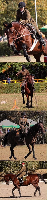 Andrzej Ciesielski i Honor  - Kawaleryjskie Mistrzostwa Polski 2009