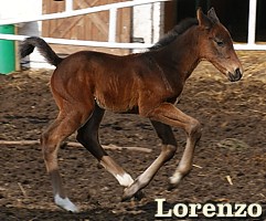 Boski Lorenzo tuż po urodzeniu