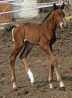 syn Luny i Folia tuż po urodzeniu