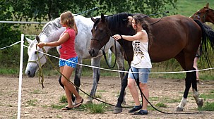 Trening mentalny JNBT w Stadninie Koni Kierzbuń