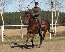 Paweł Król na Honorze - przygotowania do zawodów militari