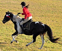 Puszcza i Ruda podczas Hubertusa 2011