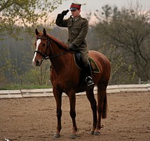 Andrzej na Talencie podczas próby ujeżdżenia