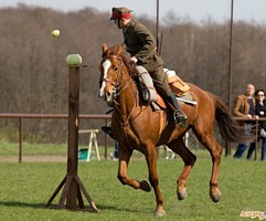 Andrzej na Talencie w konkursie władania lancą